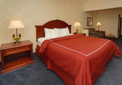 Comfort Suites Of Southfield 003